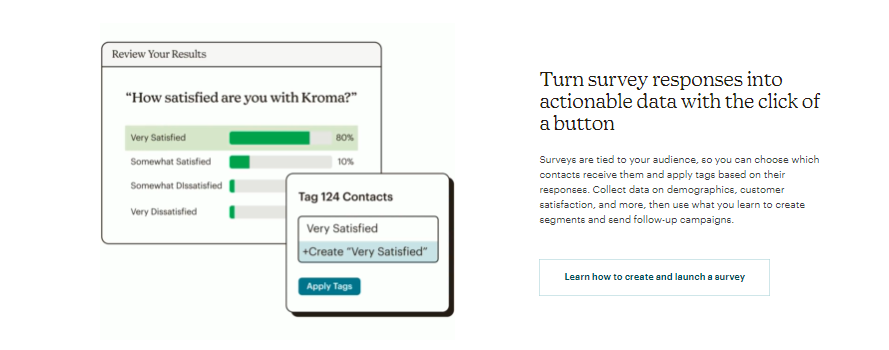 Mailchimp surveys feature screenshot