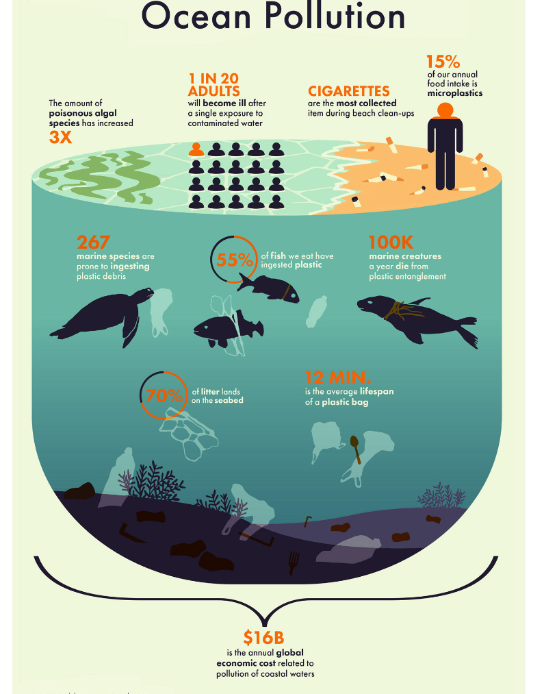 Ocean Pollution by Stephanie Phung infographic example