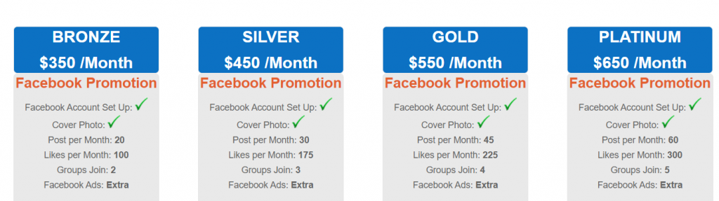 Peak Marketers Social media optimization costs