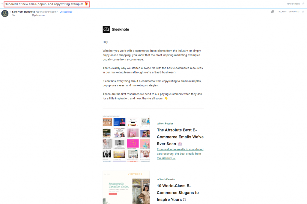 Sleeknote newsletter with website resources example